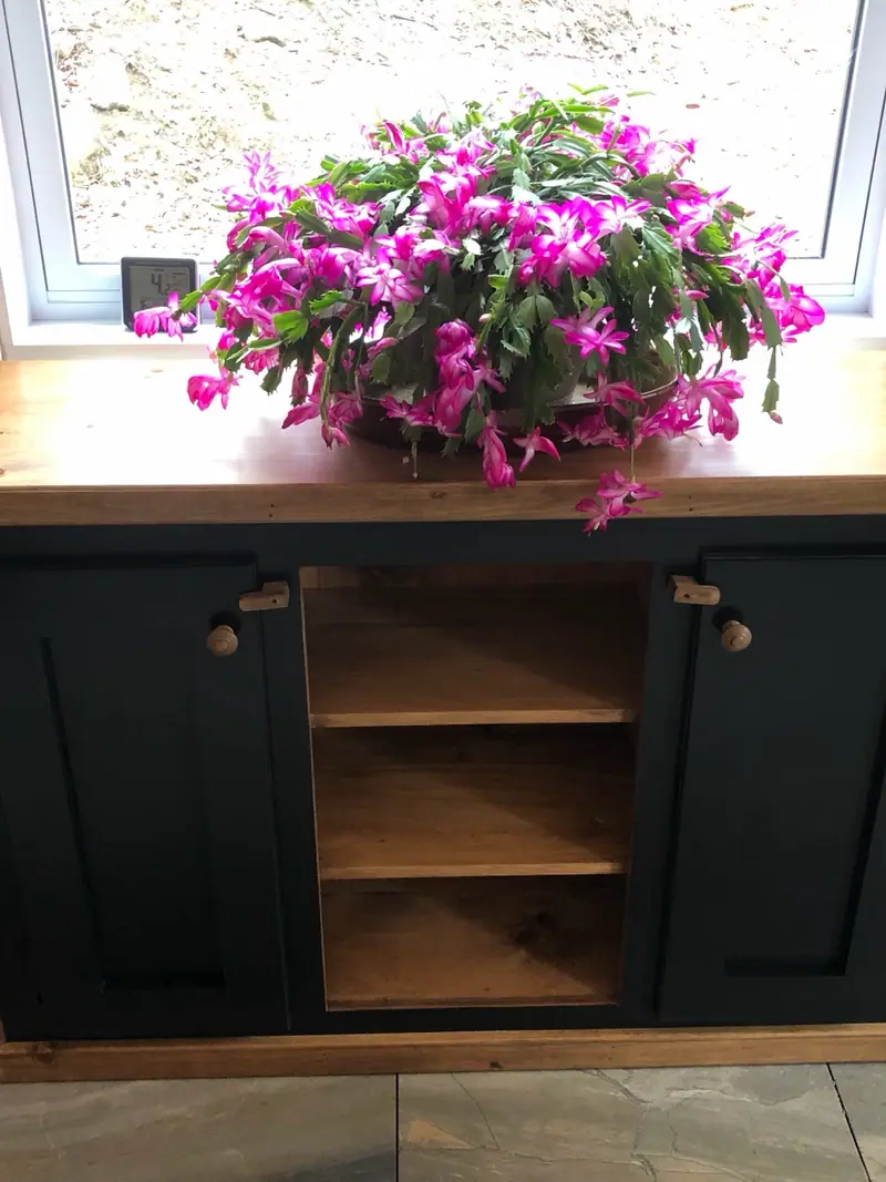 Buffet en pin à portes peintes vert forêt, niche centrale ouverte à tablettes de pin naturel, dessus et plinthe en pin clair.
